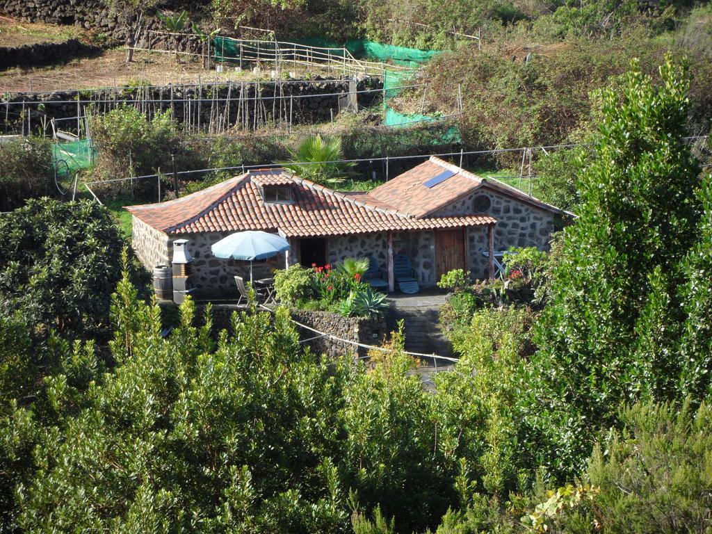 Finca Cueva Del Viento Икод-де-лос-Винос Номер фото